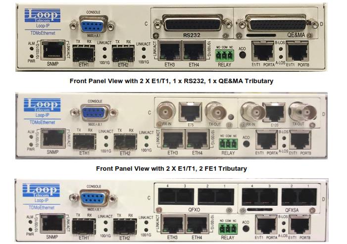 Loop IP6704 Panel Views